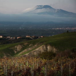 Mottawine.com