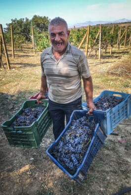 Mottawine.com